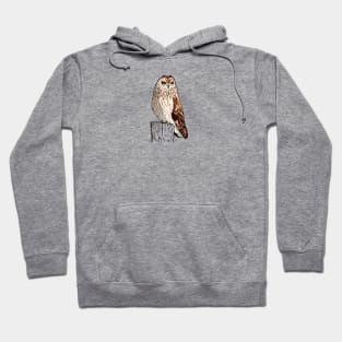 Short-eared Owl Hoodie